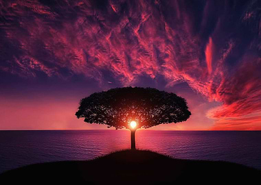 Extraterrestrial sunset