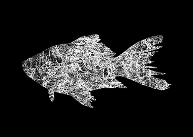 Poisson Noir et Blanc
