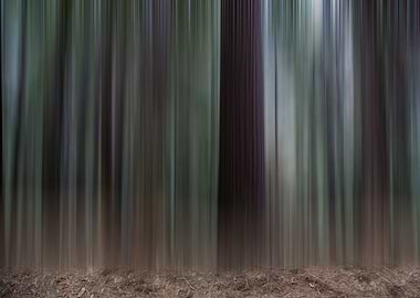 I think I lost my glasses