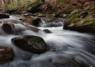 Calm Vermont Stream