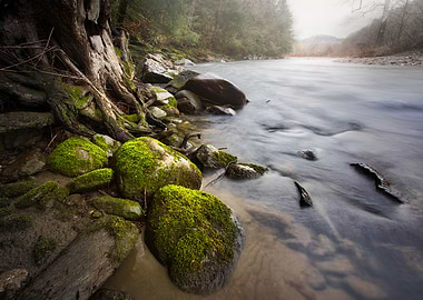 Cold River in Spring