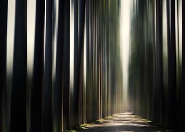 I think I lost my glasses