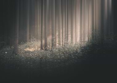 I think I lost my glasses