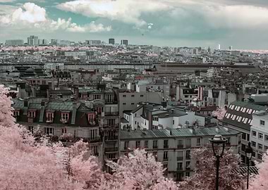 Paris in the Sringtime