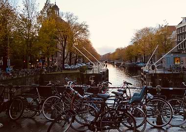 Amsterdam Bikes