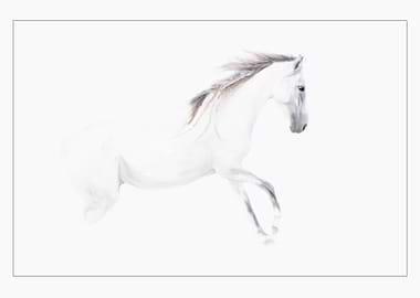 Horse like a Painting