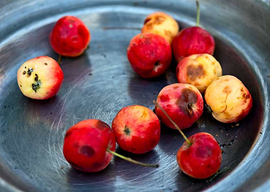 Crabapples On Metal Plate