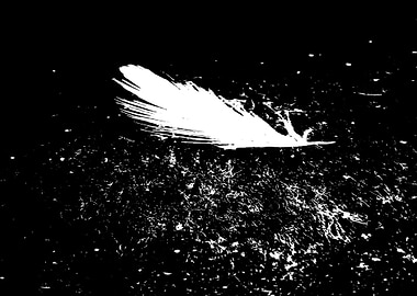 Feather art