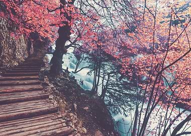 Reality a burgeois concept