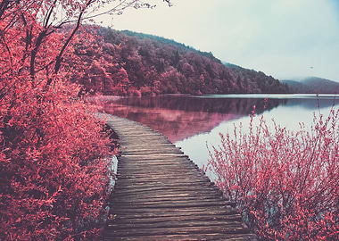 Reality a burgeois concept