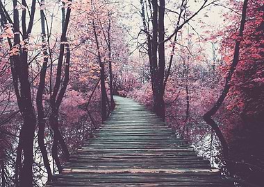 Reality a burgeois concept