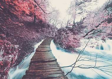 Reality a burgeois concept