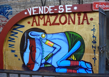 Amazonia for Sale