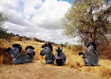 Wild life in Tanzania