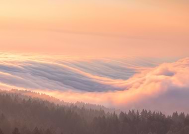 Cloudy Forest Top Painting