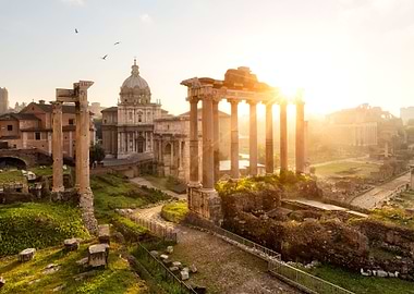 Rome Italy Forum Travel