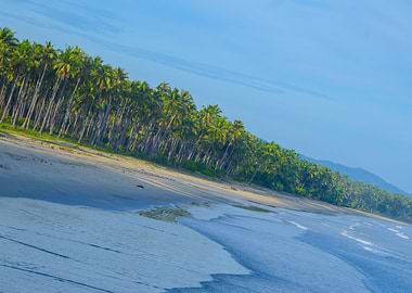 Alimanguan Beach Palawan