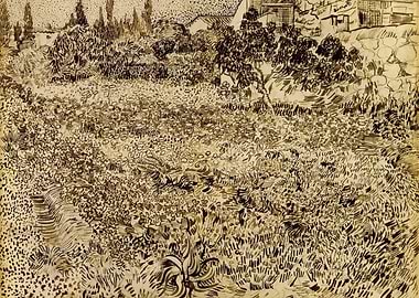 A Garden in Provence