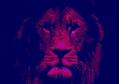 Lion3