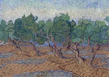 Olive Grove Pale Blue Sk