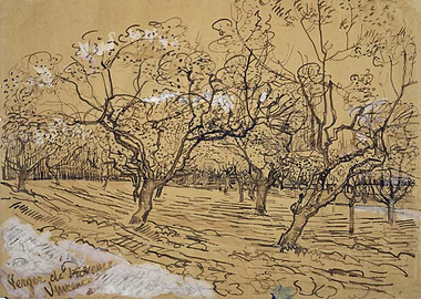 Provencial Orchard 1888