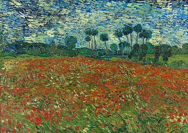 Poppy field June 1890