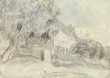 Blossoming Chestnut Trees