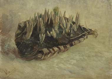 Mand met krokusbollen