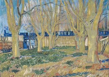 Avenue of Plane Trees near