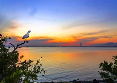 Punta Gorda Puesta del Sol