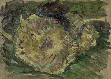 Uitgebloeide zonnebloemen