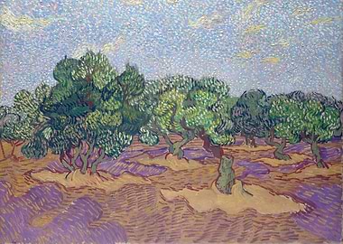 Olive Grove 1889 03