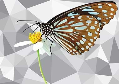 Low Poly Crow Butterfly