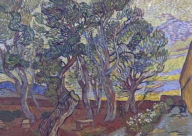 The Garden of the Asylum i