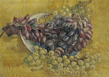 Still Life with Grapes