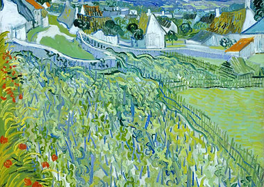 Vineyards with a View of A