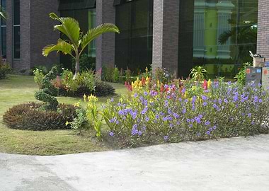 Flower Garden Dvo del Sur