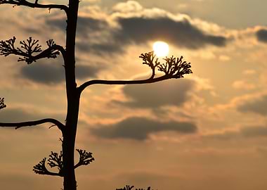 nature art landscape