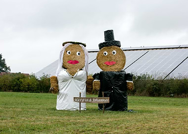 Just married puppets stars