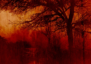 NOT EVEN THE TREES 17