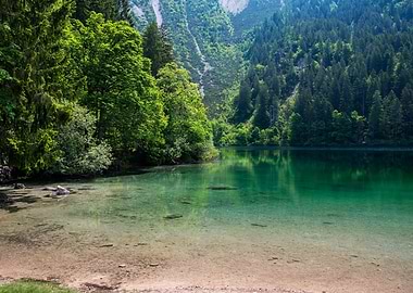 Beautiful Nature Landscape