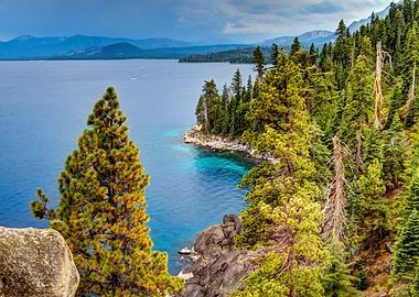 Beautiful Nature Landscape