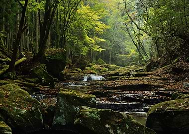 Beautiful Nature Landscape