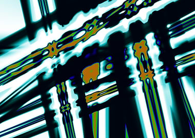 Beyond the Prison Ward