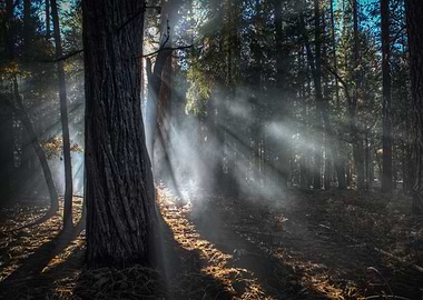 Beautiful Nature Landscape