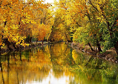 Autumn River