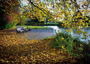 Autumn Park