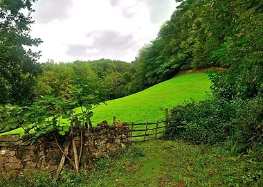 Beautiful Nature Landscape