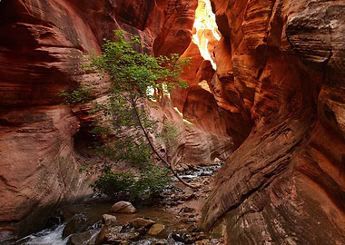 Beautiful Nature Landscape