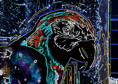 glowing Parrot